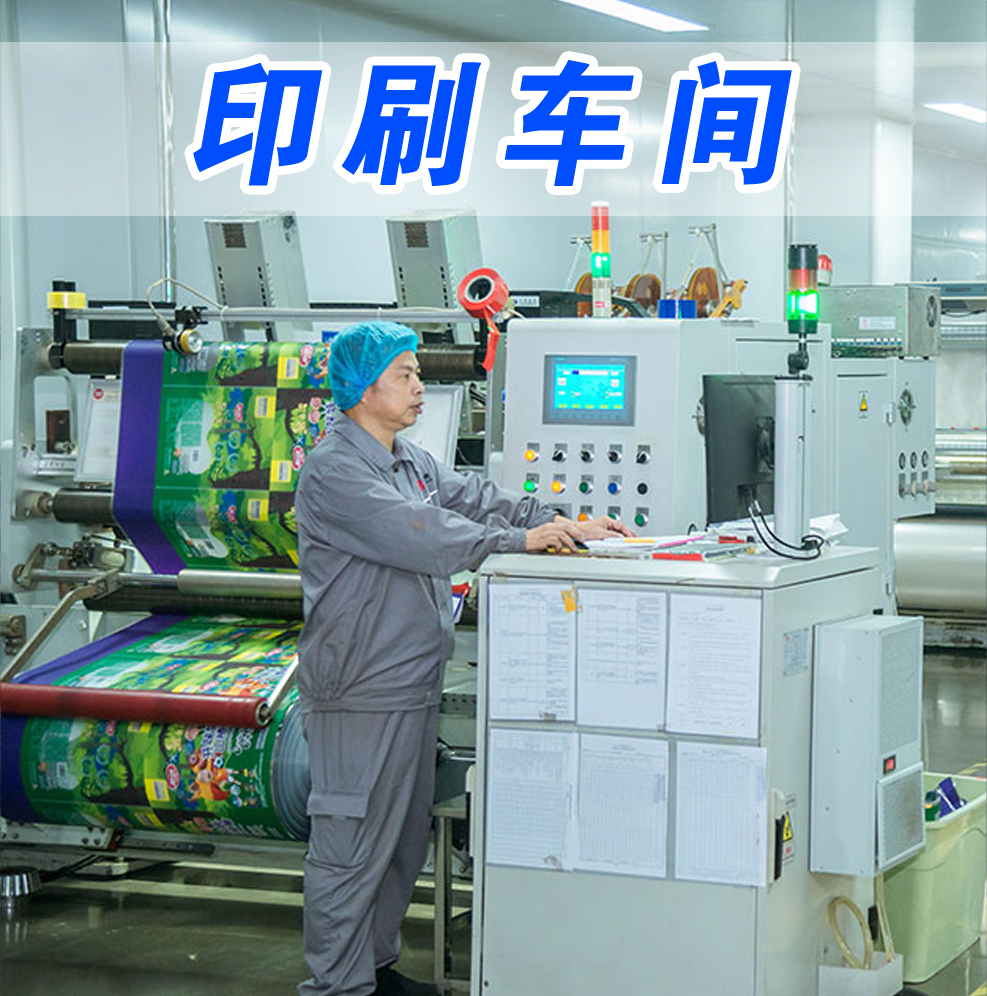 濰坊揭阳复森汽车制造有限责任公司(4G网站)，根據(ju)客戶需求定制(zhi)不同款式包裝(zhuang)袋